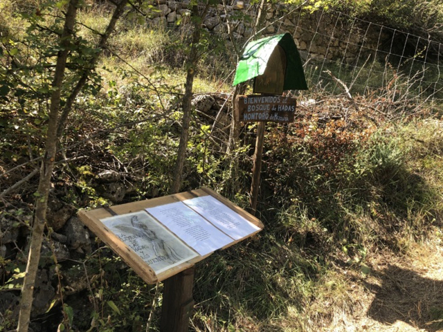 El bosque de las hadas de Montoro de Mezquita, un espacio para