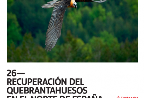 Manuales de Desarrollo Sostenible nº 26. Recuperación del quebrantahuesos en el norte de España