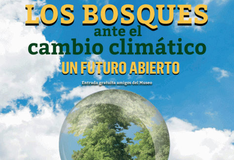 Catálogo de la exposición Los bosques ante el cambio climático. Un futuro abierto
