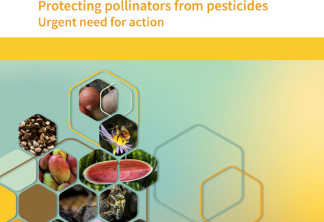 Protecting pollinators from pesticides. Urgent need for action