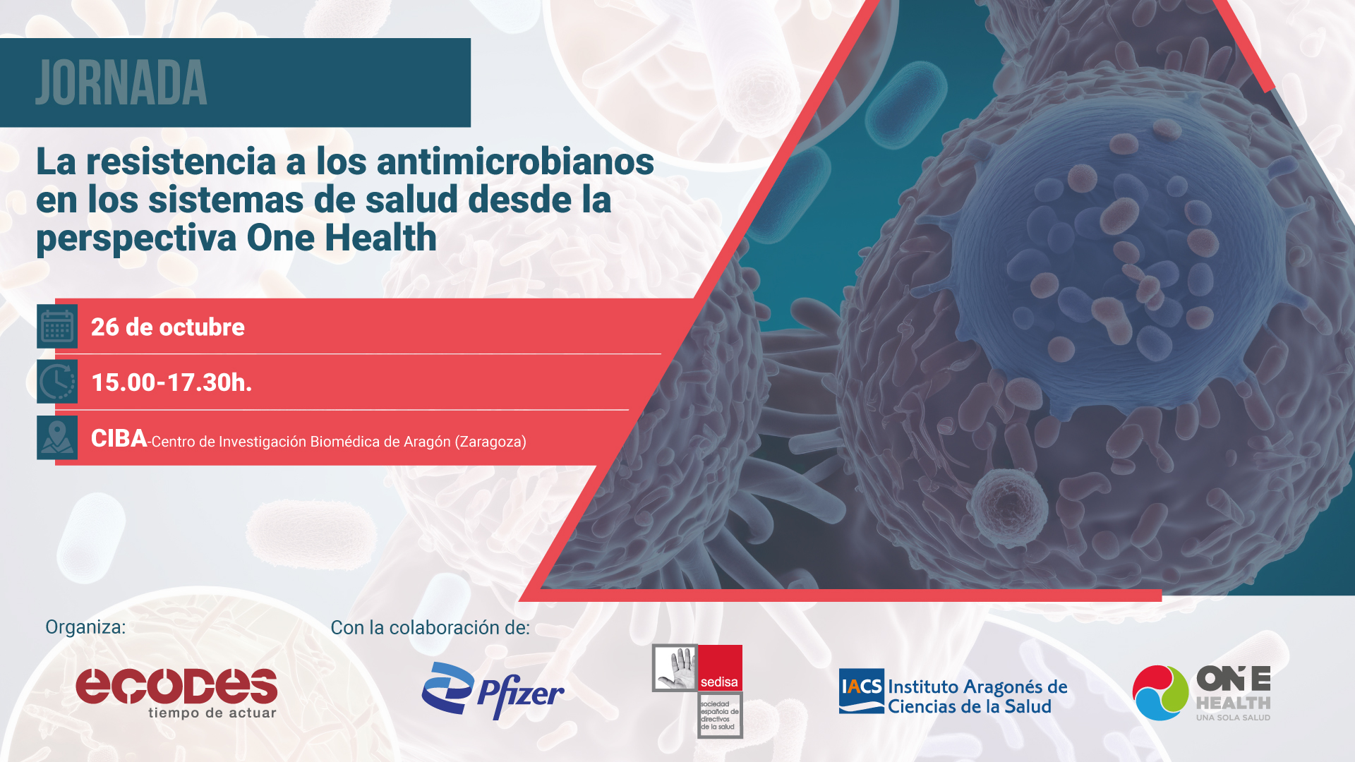 La Resistencia A Los Antimicrobianos En Los Sistemas De Salud Desde La ...