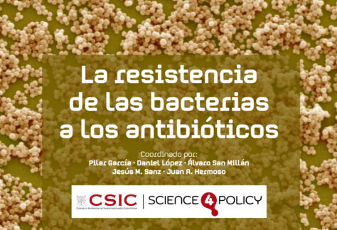 resisitencia-bacterias