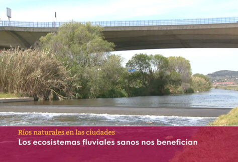 rios-naturales-ciudades