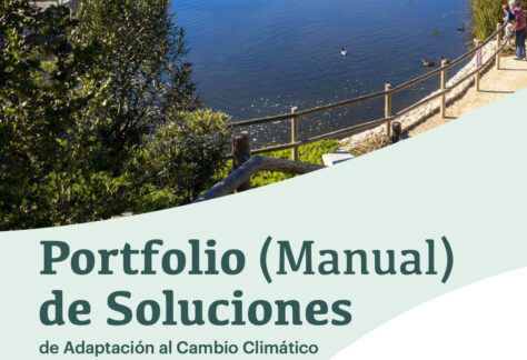 portfolio-Soluciones