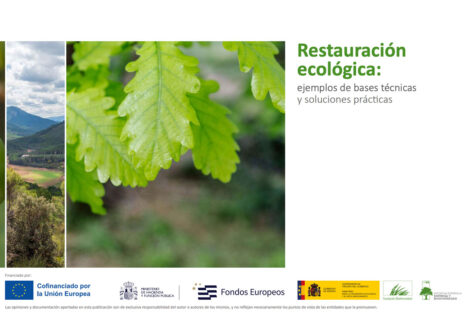 restauracion-ecologica