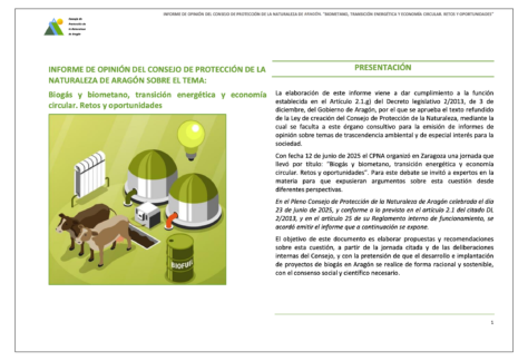 Captura de pantalla 2025-07-08 a las 18.24.18
