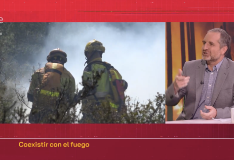 Captura de pantalla 2025-07-09 a las 9.45.14