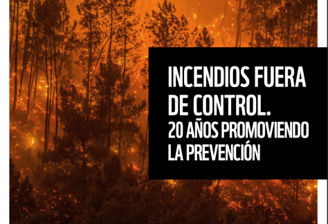 Captura de pantalla 2025-07-21 a las 13.26.20