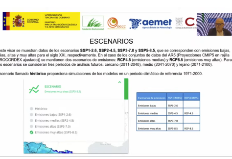 Captura de pantalla 2025-10-12 a las 20.23.11