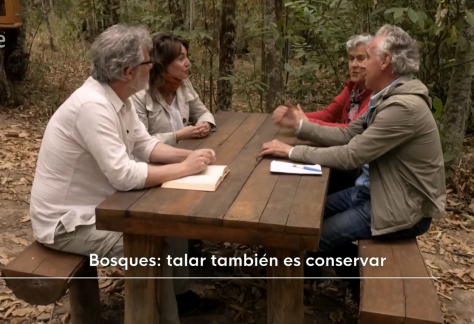 Captura de pantalla 2025-10-13 a las 11.45.55
