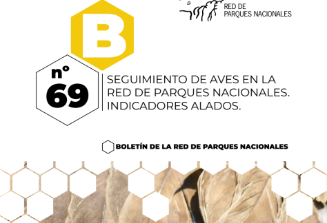 Captura de pantalla 2025-11-10 a las 19.51.46