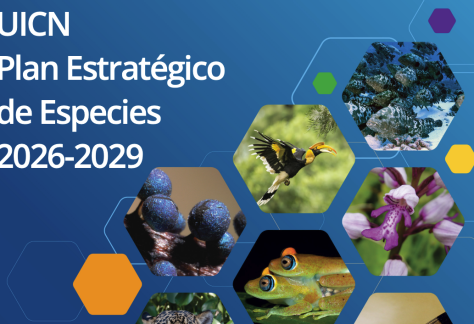 Captura de pantalla 2025-11-26 a las 16.23.48