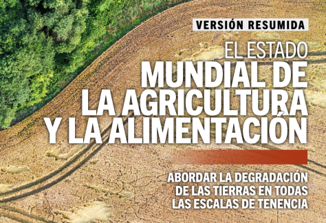 Captura de pantalla 2025-11-26 a las 16.48.03