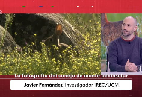 Captura de pantalla 2025-11-26 a las 18.21.06