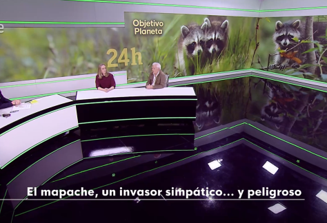 Captura de pantalla 2026-01-14 a las 18.35.34