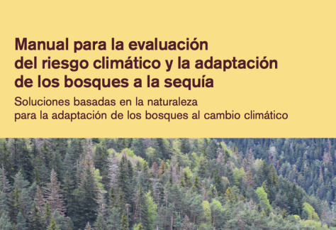 Captura de pantalla 2026-01-14 a las 19.17.03