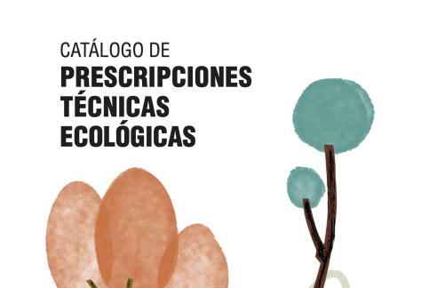 Captura de pantalla 2026-01-15 a las 8.49.11