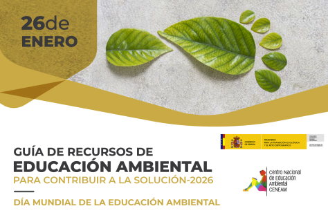 Captura de pantalla 2026-02-11 a las 19.00.43