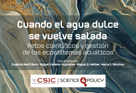 Captura de pantalla 2026-02-12 a las 17.02.44