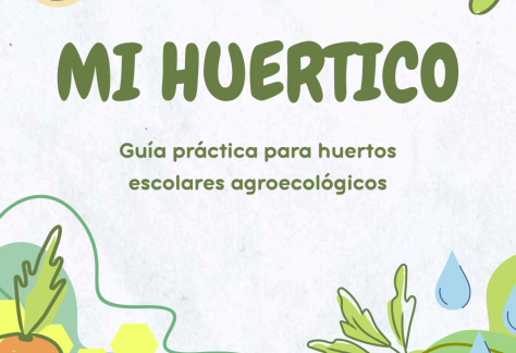 Captura de pantalla 2026-02-13 a las 20.21.19