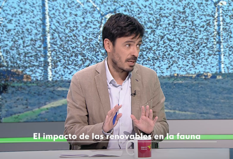 Captura de pantalla 2026-02-13 a las 20.22.28