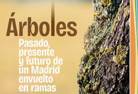 Captura de pantalla 2026-03-05 a las 20.45.04