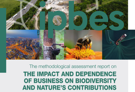 Captura de pantalla 2026-03-07 a las 21.00.22