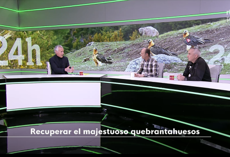 Captura de pantalla 2026-03-09 a las 19.20.11