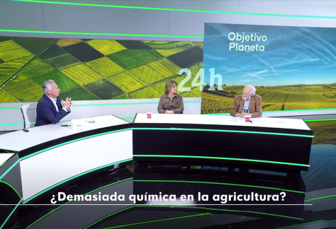 Captura de pantalla 2026-04-13 a las 18.02.21