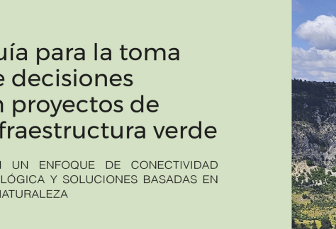 Captura de pantalla 2026-05-15 a las 11.41.34